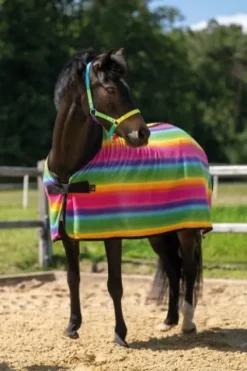 New Chemise polaire Rainbow rayures multicolores - - 100% polyester Chemises Cheval