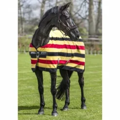 Chemise Polaire Newmarket - Horseware Chemises Cheval