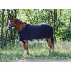 Sale Chemise polaire - Basique - 240 g/m² Chemises Cheval