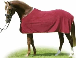 Sale Chemise polaire Séchante Chemises Cheval