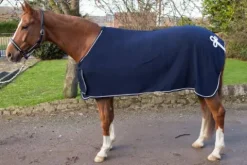 Outlet Chemise polaire sèchante  JMRPRO modèle sport Chemises Cheval