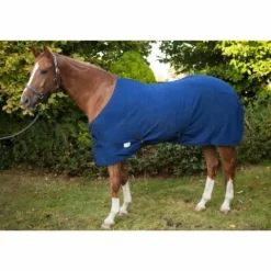 Best Chemise polaire shetland avec sangles croisées de chez Chemises Cheval