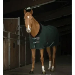 Best Chemise polaire Teddy - Equi-Thème Chemises Cheval