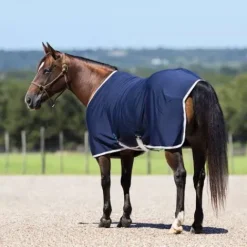 Discount Chemise séchante Jersey Cooler - Horseware Chemises Cheval