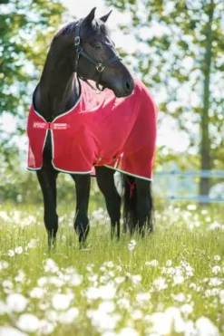 New Chemise séchante Amigo net cooler - - polyester Chemises Cheval