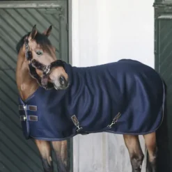 Online Chemise séchante 3D Spacer - Kentucky Chemises Cheval