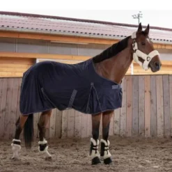 Hot Chemise séchante Cool Dry Chemises Cheval