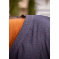 New Chemise séchante avec sangle invisible Chemises Cheval