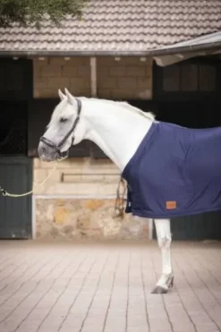 New Chemise séchante avec sangle invisible Chemises Cheval