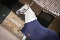 New Chemise séchante avec sangle invisible Chemises Cheval