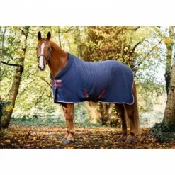 Chemise séchante EMBROSSED Cosy - HORSEWARE Chemises Cheval