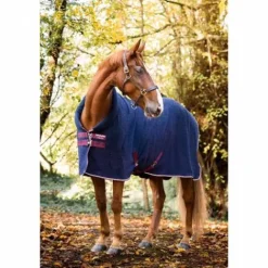Chemise séchante EMBROSSED Cosy - HORSEWARE Chemises Cheval