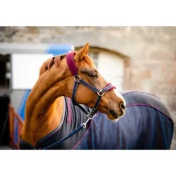 Clearance Chemise Séchante Sport Cooler - Horseware Chemises Cheval