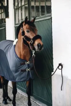 Discount Chemise séchante Softshell - Kentucky Chemises Cheval