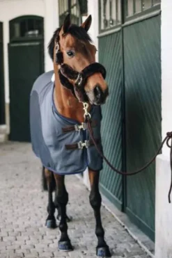 Discount Chemise séchante Softshell - Kentucky Chemises Cheval