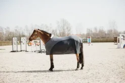 Discount Chemise séchante Softshell - Kentucky Chemises Cheval