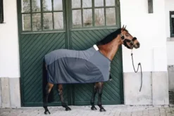 Discount Chemise séchante Softshell - Kentucky Chemises Cheval