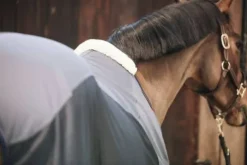 Discount Chemise séchante Softshell - Kentucky Chemises Cheval