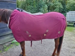 Best chemise sechante teddy Félix bulher Chemises Cheval