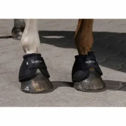 Best Cloche Cloches Et Protèges-Glomes