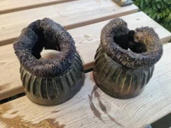 Outlet Cloches Cloches Et Protèges-Glomes