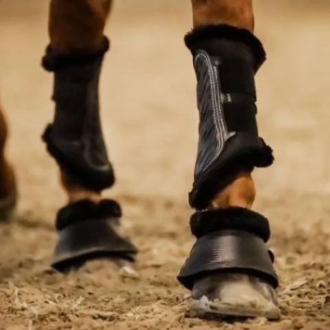 Outlet Cloches Gravity Mouton - Cloches Et Protèges-Glomes