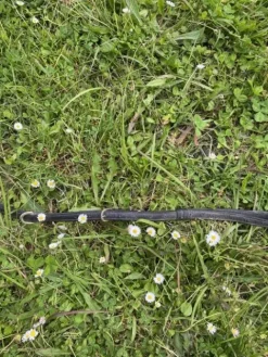 Online Collier de chasse Enrênements·Collier De Chasse