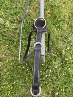 Best Collier de chasse Enrênements·Collier De Chasse