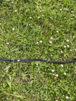 Best Collier de chasse Enrênements·Collier De Chasse