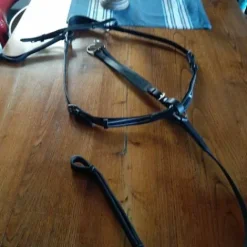 Best collier de chasse Enrênements·Collier De Chasse