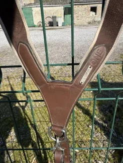 Discount Collier de chasse Enrênements·Collier De Chasse