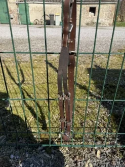 Discount Collier de chasse Enrênements·Collier De Chasse