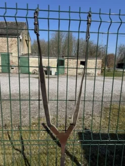 Discount Collier de chasse Enrênements·Collier De Chasse