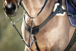 Best Collier de chasse 5 points Enrênements·Collier De Chasse