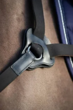 Best Collier de chasse 5 points Enrênements·Collier De Chasse