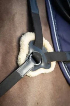 Best Collier de chasse 5 points Enrênements·Collier De Chasse