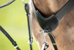 Best Collier de chasse 5 points Enrênements·Collier De Chasse