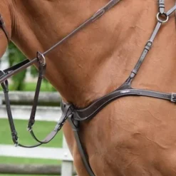 Sale Collier de chasse 5 points Jump'in + martingale anneaux Enrênements·Collier De Chasse