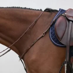 Collier de chasse classique HVM - Stabilité Enrênements·Collier De Chasse