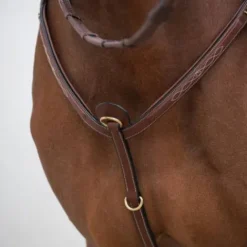 Collier de chasse classique HVM - Stabilité Enrênements·Collier De Chasse