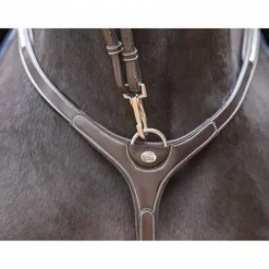 Discount Collier de chasse Clincher et martingale - Collection One Premium - Enrênements·Collier De Chasse