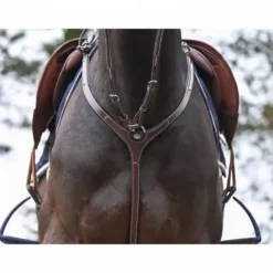 Discount Collier de chasse Clincher et martingale - Collection One Premium - Enrênements·Collier De Chasse