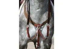 Discount Collier de chasse cuir + élastique gamme  Olympia de chez Enrênements·Collier De Chasse