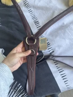 Best Collier de chasse Enrênements·Collier De Chasse