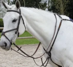 New Collier de chasse Fancy Richtan Enrênements·Collier De Chasse