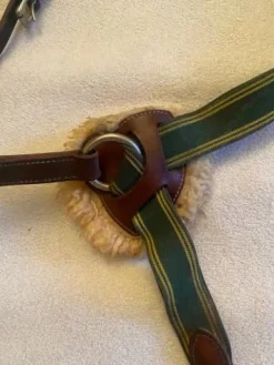 Outlet Collier de chasse Kolibri Enrênements·Collier De Chasse