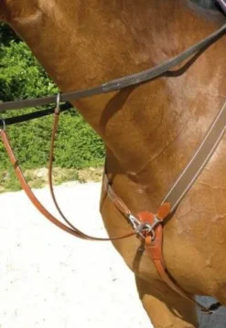 Collier de chasse élastique Enrênements·Collier De Chasse