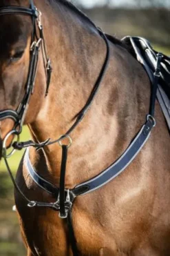 Collier de chasse élastique avec martingale noir / marine Enrênements·Collier De Chasse