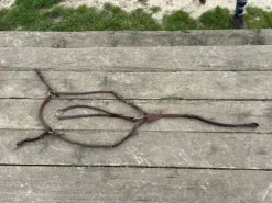 Sale Collier de chasse (5points) Enrênements·Collier De Chasse