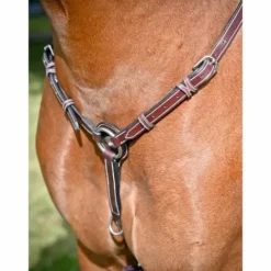 Sale Collier de chasse Tuesday - Collection Week - Jump'in Enrênements·Collier De Chasse